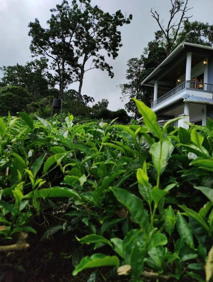 The Nirvana Resort Munnar Bagian luar foto